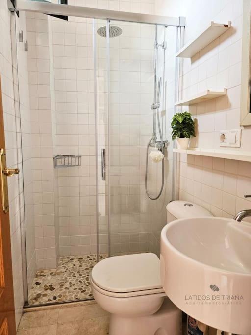 Latidos De Triana - Atico Con Vistas A Todo Apartamento