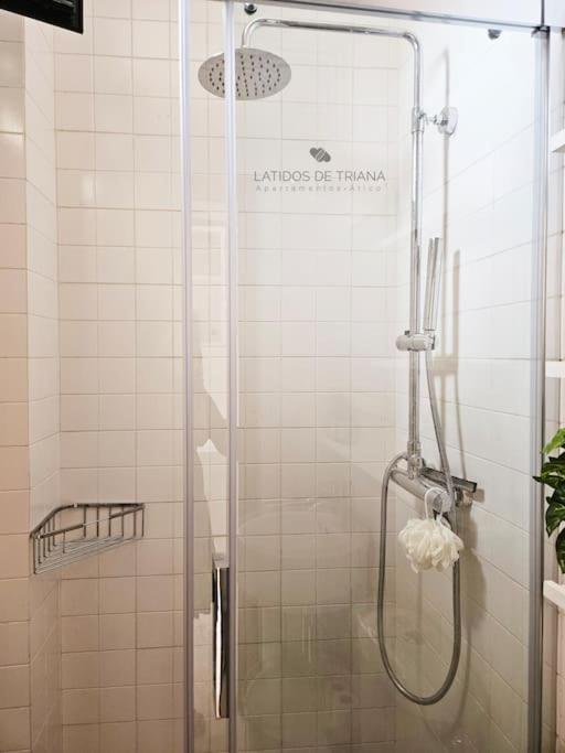 Apartamento Latidos De Triana - Atico Con Vistas A Todo Sevilla